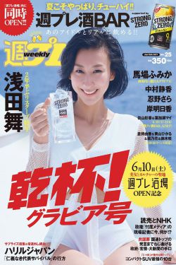 登月计划