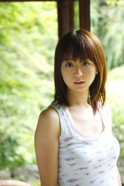渊子崖保卫战