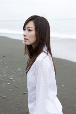 南宋第一卧底下载txt精校版