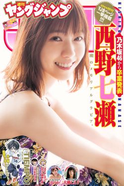 电视连续剧遍地狼烟